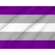 Graysexual Pride Flag for Indoor & Outdoor Use - Imagine 2
