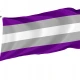 Graysexual Pride Flag for Indoor & Outdoor Use - Imagine 1