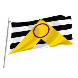 Intersex Ally Flag for Indoor & Outdoor Use