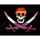 Lesbian Pride Pirate Flag for Indoor & Outdoor Use - Imagine 2