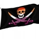 Lesbian Pride Pirate Flag for Indoor & Outdoor Use - Imagine 1