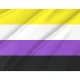 Non-binary Flag for Indoor & Outdoor Use - Imagine 2