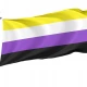 Non-binary Flag for Indoor & Outdoor Use - Imagine 1