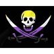 Nonbinary Pride Pirate Flag for Indoor & Outdoor Use - Imagine 2