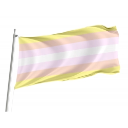 Pangender Pride Flag for Indoor & Outdoor Use