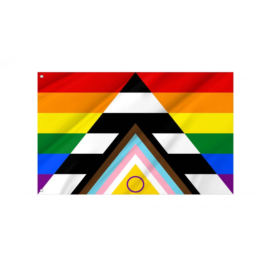 Queer Ally Flag for Indoor & Outdoor Use, PRIDE16