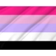 Reciprosexual Pride Flag for Indoor & Outdoor Use - Imagine 2
