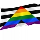 Straight Ally Flag for Indoor & Outdoor Use - Imagine 1