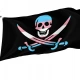 Transgender Pride Pirate Flag for Indoor & Outdoor Use - Imagine 1