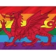 Wales Rainbow Pride Flag for Indoor & Outdoor Use - Imagine 2