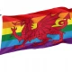 Wales Rainbow Pride Flag for Indoor & Outdoor Use - Imagine 1