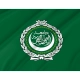 Arab League Flag for Indoor & Outdoor Use - Imagine 2