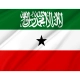 Somaliland Flag for Indoor & Outdoor Use - Imagine 2