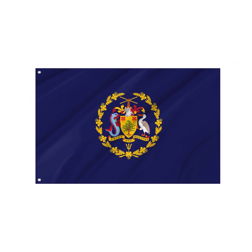 Barbados President Flag for Indoor & Outdoor Use