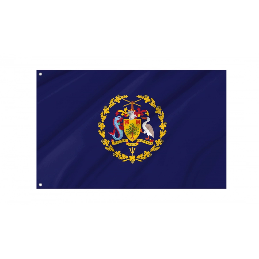Barbados President Flag for Indoor & Outdoor Use, BRB02