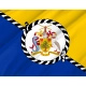 Barbados Prime Minister Flag for Indoor & Outdoor Use - Imagine 2