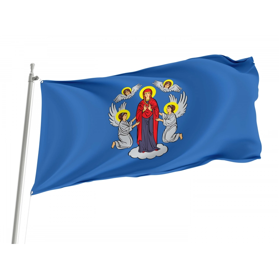 Minsk Flag for Indoor & Outdoor Use, BLR02