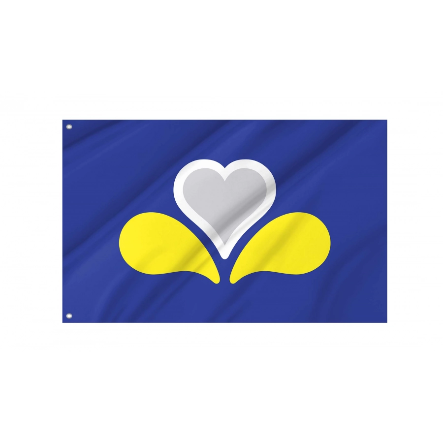 Brussels Capital City Flag for Indoor & Outdoor Use, BEL05