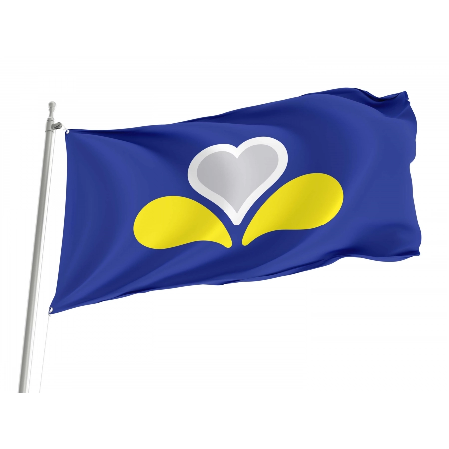Brussels Capital City Flag for Indoor & Outdoor Use, BEL05