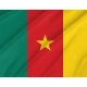 Cameroon Flag for Indoor & Outdoor Use - Imagine 2