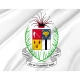 Brazzaville Capital City Flag for Indoor & Outdoor Use - Imagine 2