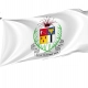 Brazzaville Capital City Flag for Indoor & Outdoor Use - Imagine 1