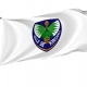 Kinshasa Flag for Indoor & Outdoor Use - Imagine 1