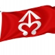 Bílovec Flag for Indoor & Outdoor Use - Imagine 1