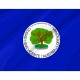 San Vicente Department Flag for Indoor & Outdoor Use - Imagine 2