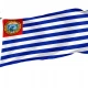 Santa Ana Department Flag for Indoor & Outdoor Use - Imagine 1