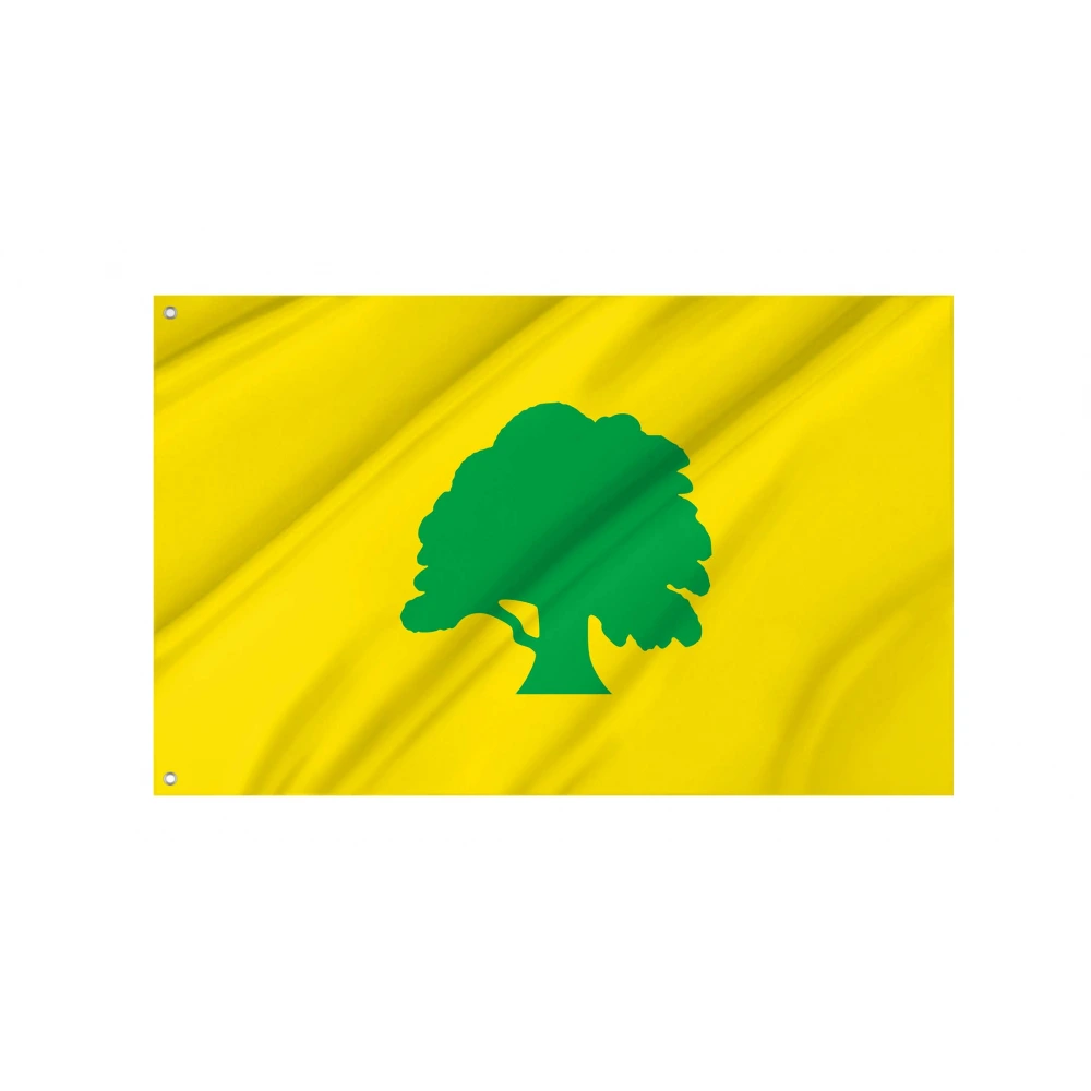 Antsla Parish Flag for Indoor & Outdoor Use
