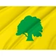 Antsla Parish Flag for Indoor & Outdoor Use - Imagine 2