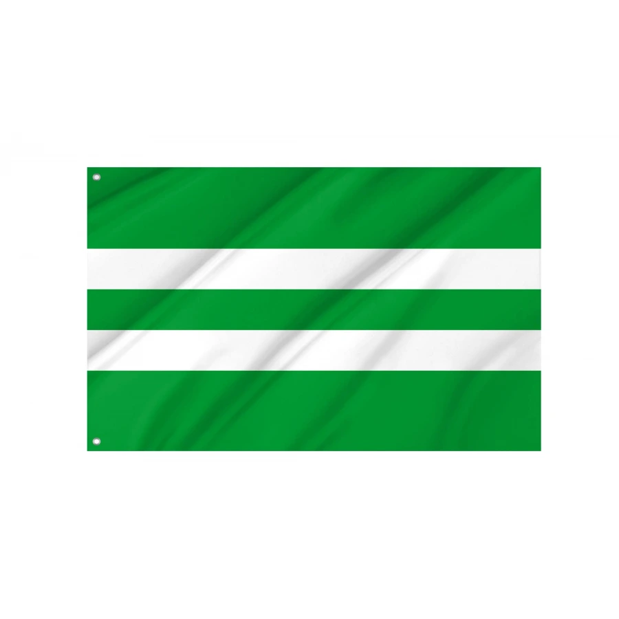 Et-Antsla vald Flag for Indoor & Outdoor Use, EST99