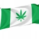 Kanepi Parish Flag for Indoor & Outdoor Use - Imagine 1