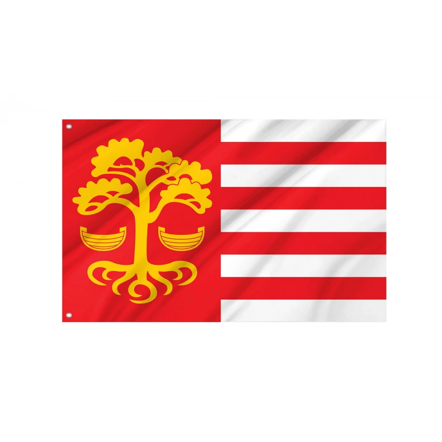 Loksa Flag for Indoor & Outdoor Use, EST35