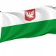 Lääne County Flag for Indoor & Outdoor Use - Imagine 1