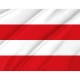 Põhja-Sakala Parish Flag for Indoor & Outdoor Use - Imagine 2