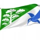 Põlva Parish Flag for Indoor & Outdoor Use - Imagine 1