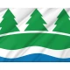 Rõuge Parish Flag for Indoor & Outdoor Use - Imagine 2