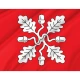 Saue Parish Flag for Indoor & Outdoor Use - Imagine 2