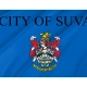 Suva Flag for Indoor & Outdoor Use - Imagine 2