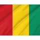 Guinea Flag for Indoor & Outdoor Use - Imagine 2