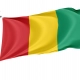 Guinea Flag for Indoor & Outdoor Use - Imagine 1