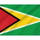 Guyana Flag for Indoor & Outdoor Use - Imagine 2