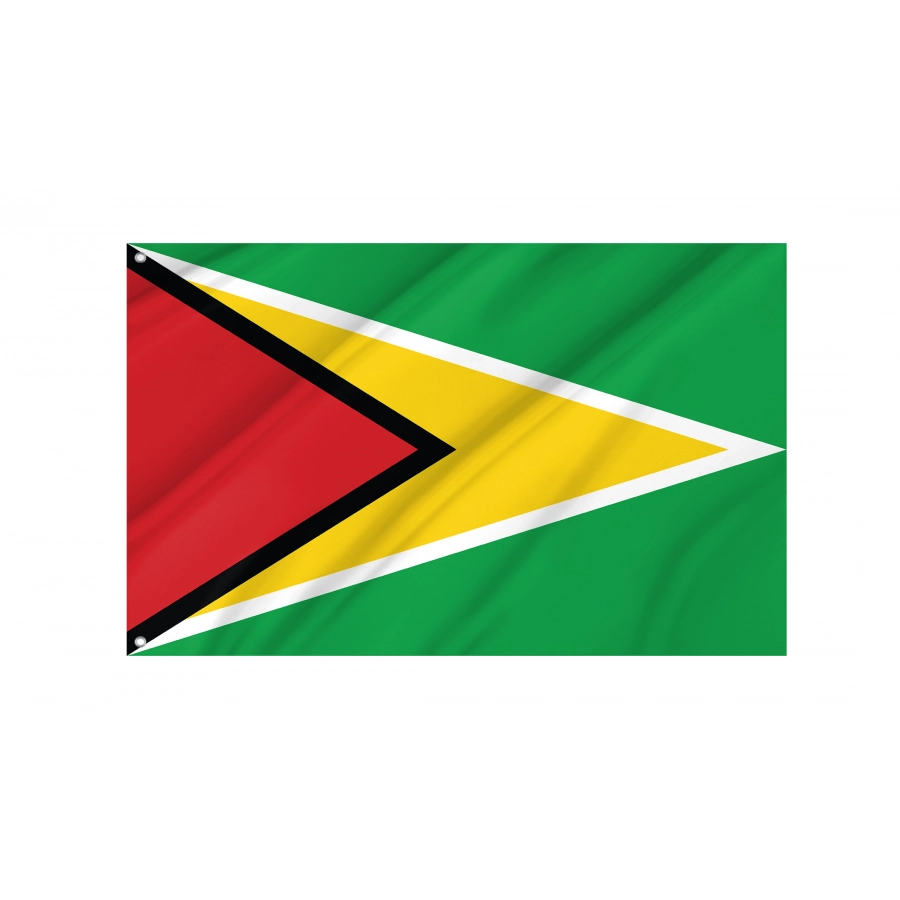 Flag of Guyana, Patriotic Flags, Unique Design Print, Flags for Indoor & Outdoor Use