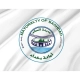 Baghdad Capital City Flag for Indoor & Outdoor Use - Imagine 2