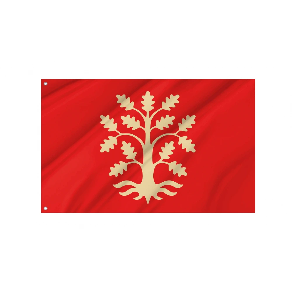 Agder County Flag for Indoor & Outdoor Use