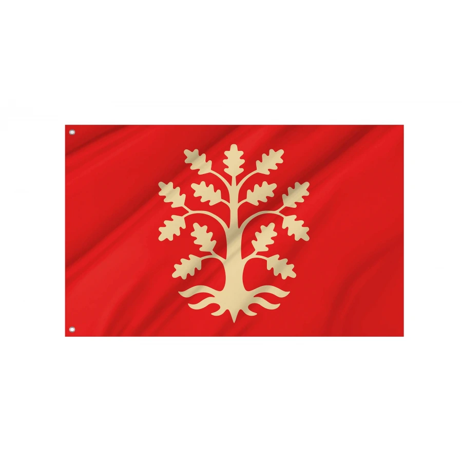 Agder County Flag for Indoor & Outdoor Use, NOR15