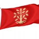Agder County Flag for Indoor & Outdoor Use - Imagine 1