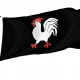 Vefsn Municipality Flag for Indoor & Outdoor Use - Imagine 1